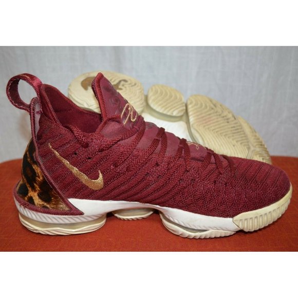 Nike Air Zoom Lebron 16 \
